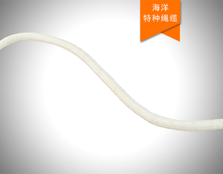 潛標纜