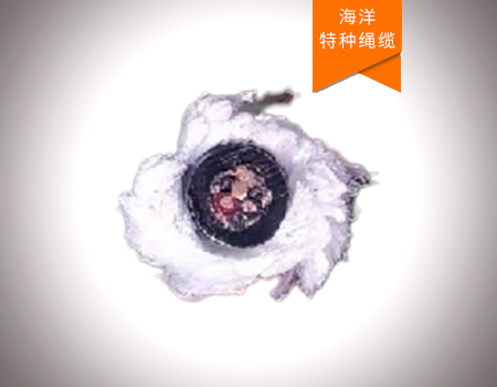 縱向載荷絞車(chē)信號(hào)纜繩